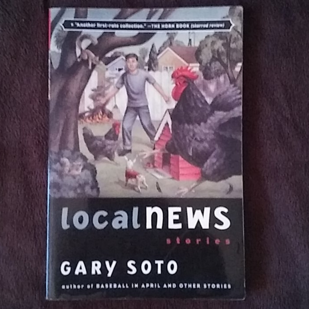 📚 Local News Stories Level W Book